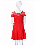 Floral Lace Short Sleeve Party Casual Mini Dress